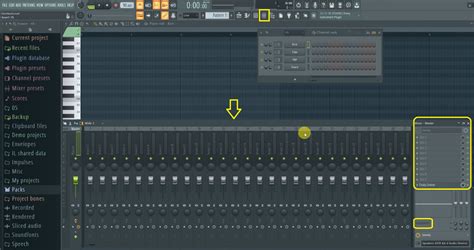 control loop in chanel rack fl studio|FL Studio channel rack patterns.